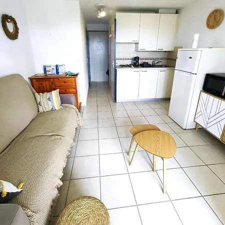 公寓 T2 Pour 4 Pers, A 100m Richelieu, Piscine & Parking - Fr-1-607-228 *